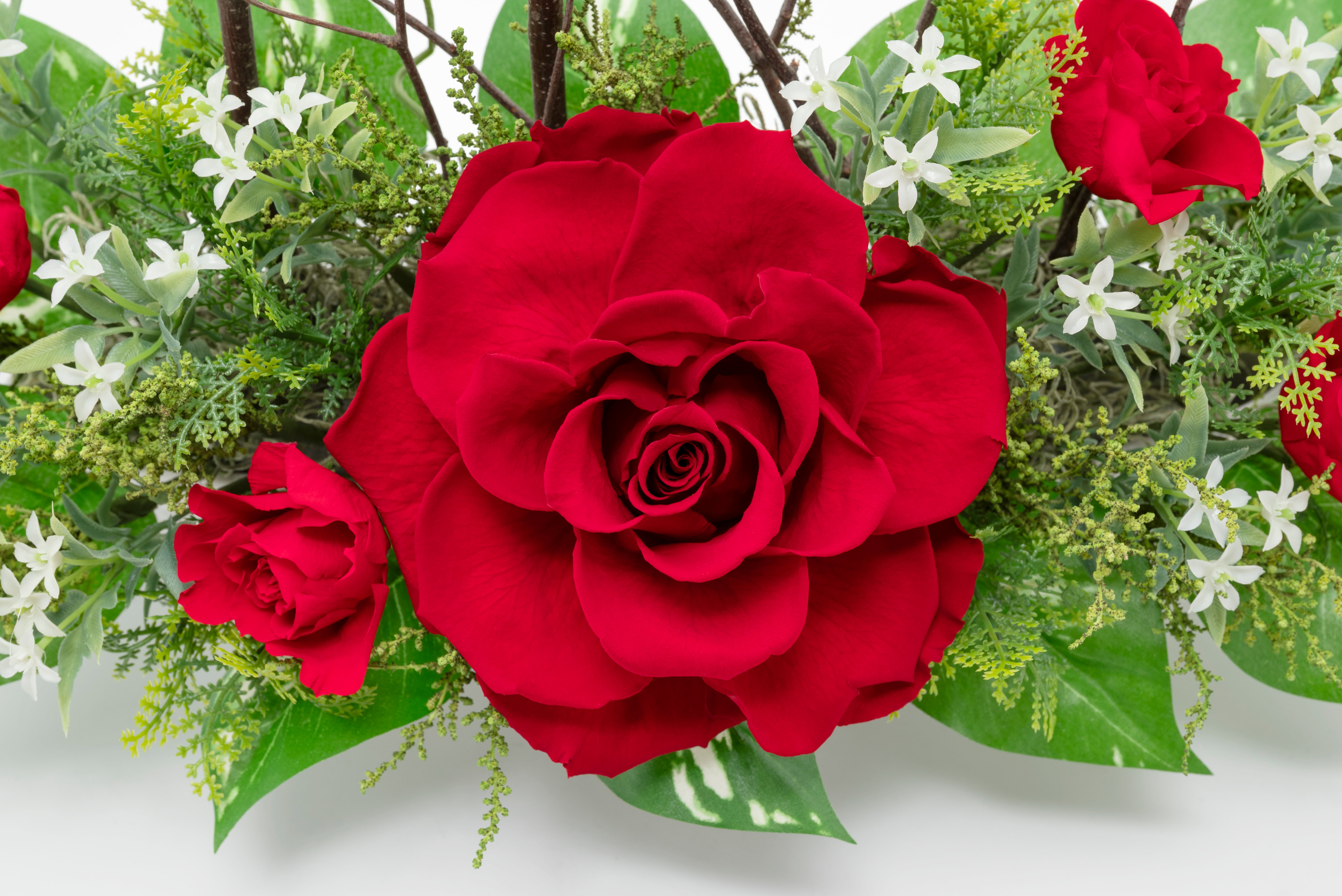 爛々(らんらん)