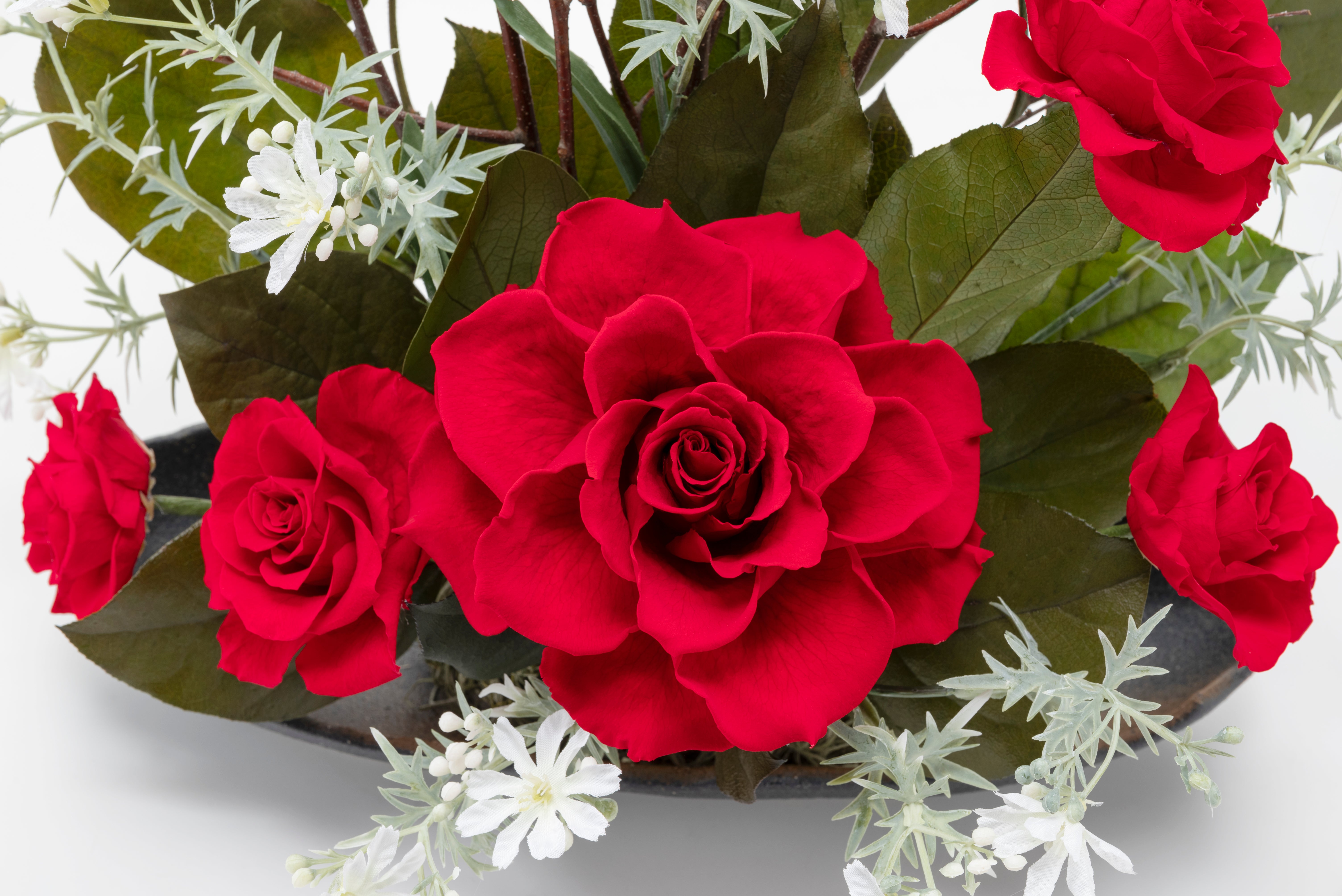 雲海(うんかい)